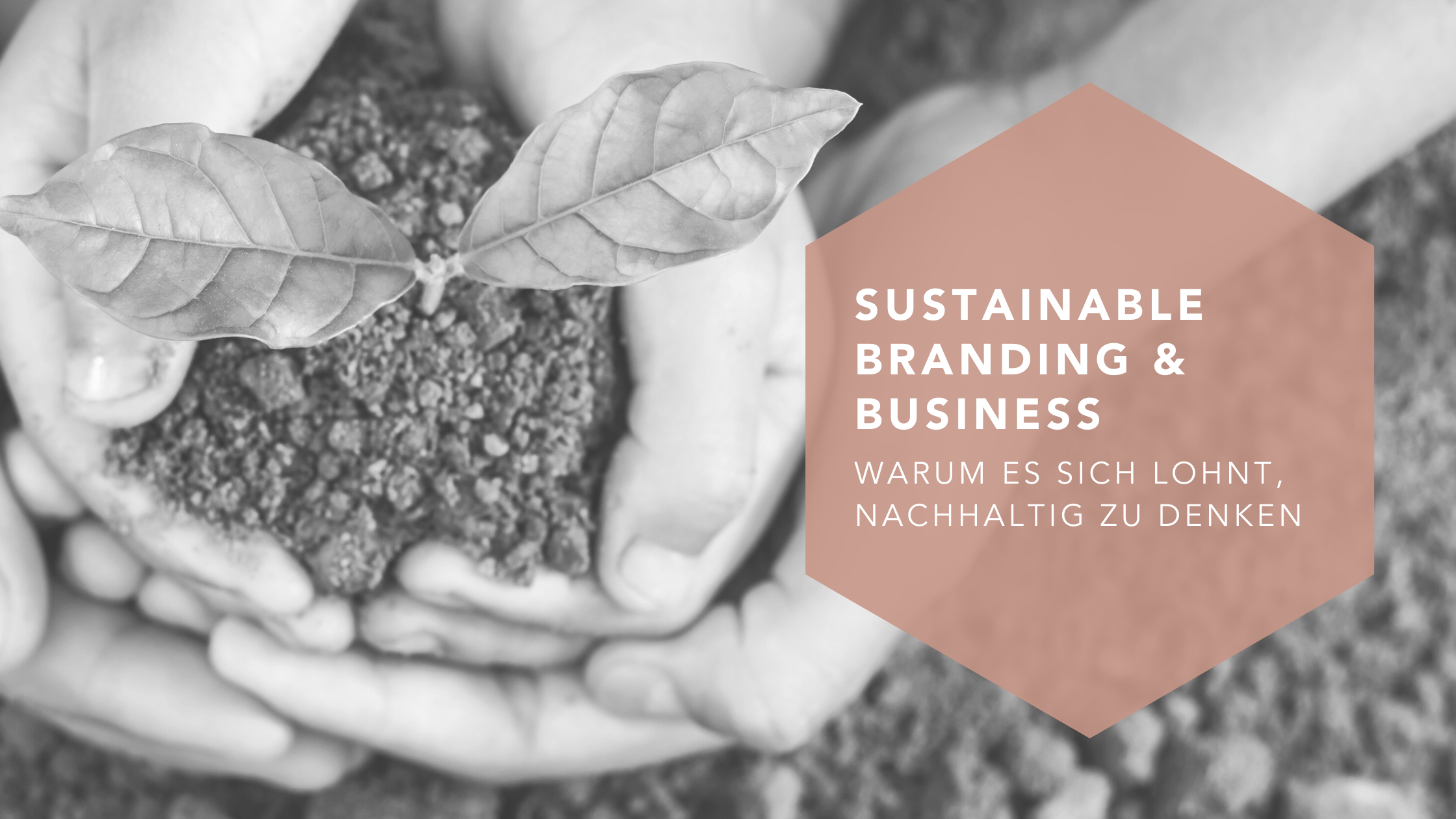 Sustainable Branding und Business – warum es sich lohnt, nachhaltig zu denken